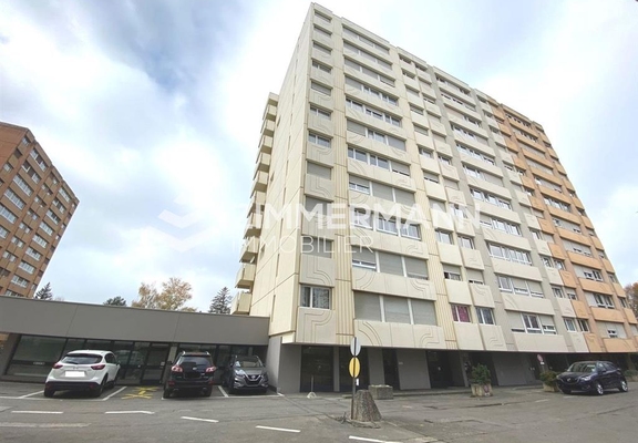 Parking-Rue des Lattes - 1217 Meyrin