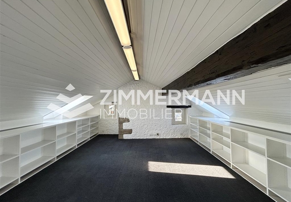 Bureau-Rue Etienne-Dumont - 1204 Genève
