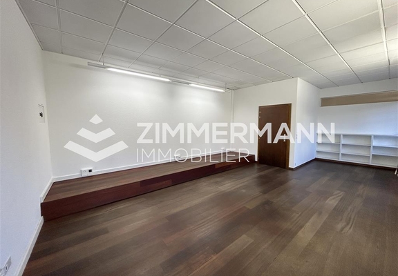 Bureau-Rue Etienne-Dumont - 1204 Genève