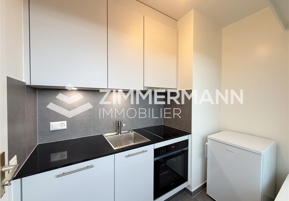 Appartement-Plateau de Frontenex - 1223 Cologny