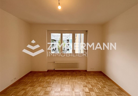 Appartement-Rue Sismondi - 1201 Genève