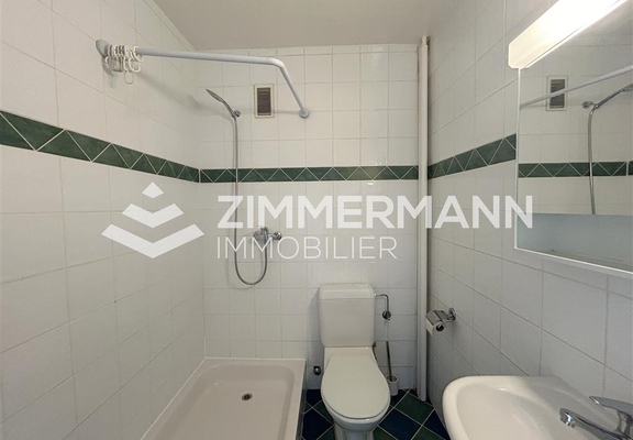 Appartement-Rue Sismondi - 1201 Genève