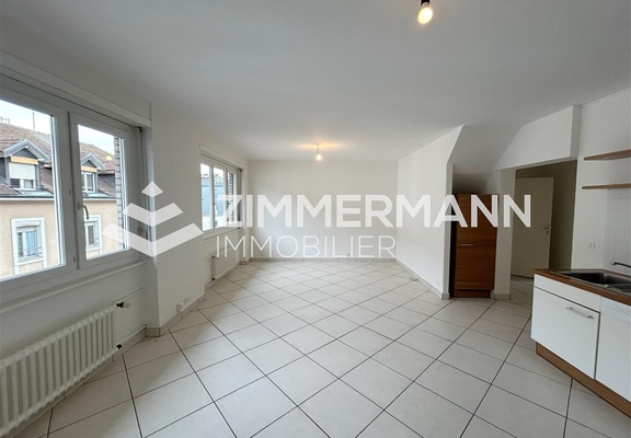 Appartement-Rue Sismondi - 1201 Genève