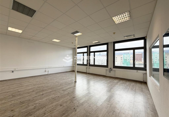Commerce-Rue du Pré-Bouvier - 1242 Satigny