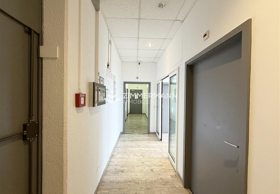 Commerce-Rue du Pré-Bouvier - 1242 Satigny