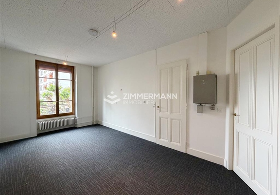 Bureau-Boulevard Carl-Vogt - 1205 Genève