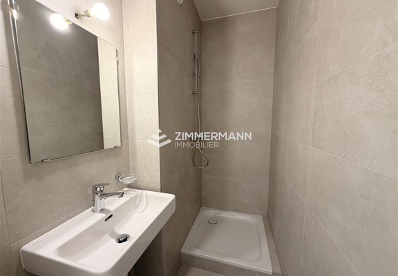 Appartement-Route de Saint-Loup - 1290 Versoix
