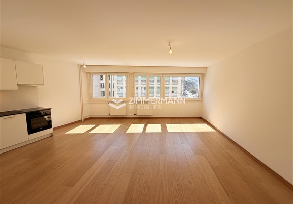 Appartement-Rue du Lac - 1207 Genève