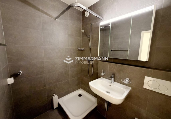Appartement-Rue du Lac - 1207 Genève