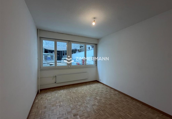 Appartement-Rue du 31 Décembre - 1207 Genève