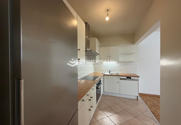 Appartement-Rue du 31 Décembre - 1207 Genève