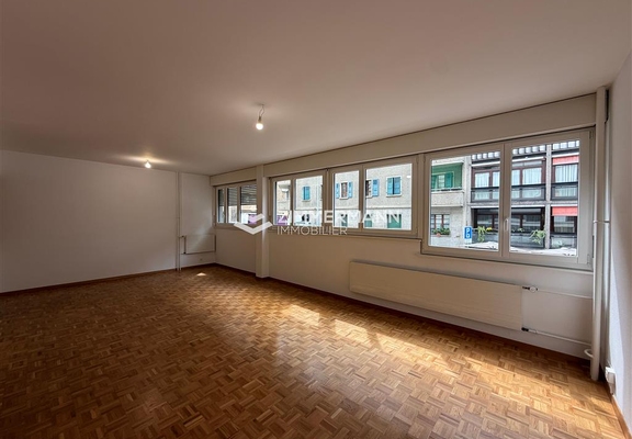 Appartement-Rue du 31 Décembre - 1207 Genève