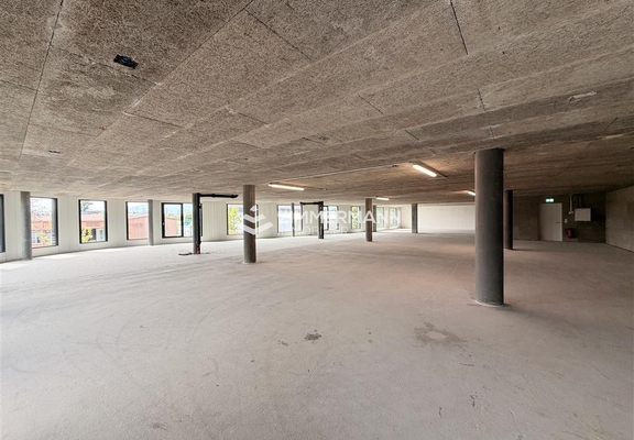 Commerce-Rue des Ateliers - 1217 Meyrin