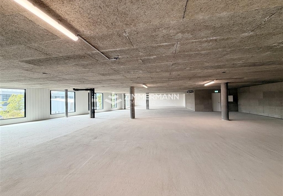 Commerce-Rue des Ateliers - 1217 Meyrin