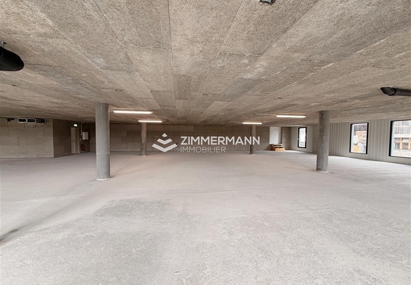 Commerce-Rue des Ateliers - 1217 Meyrin