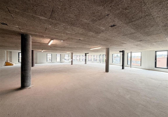 Commerce-Rue des Ateliers - 1217 Meyrin