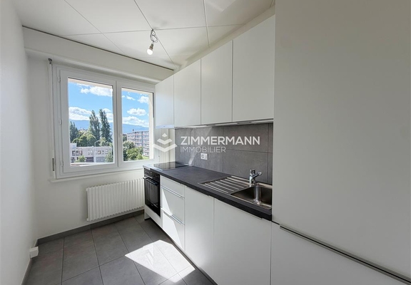 Appartement-Avenue d'Aïre - 1203 Genève