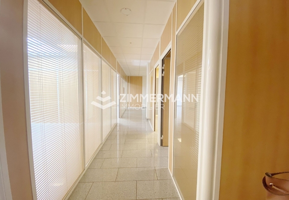 Bureau-Avenue Blanc - 1202 Genève