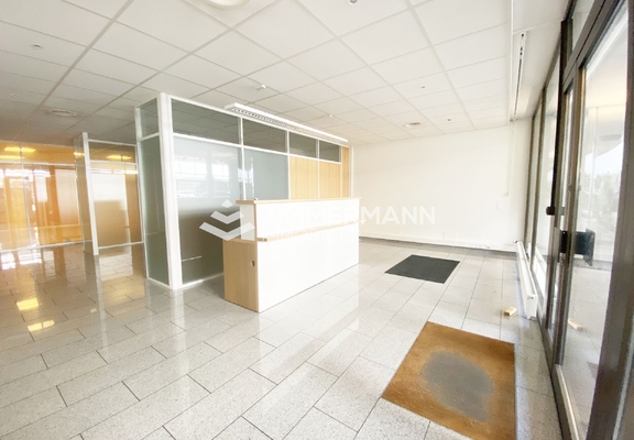 Bureau-Avenue Blanc - 1202 Genève