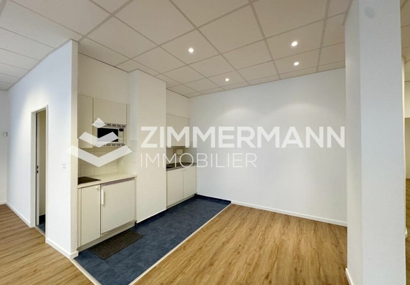 Bureau-Rue Charles-Humbert - 1205 Genève
