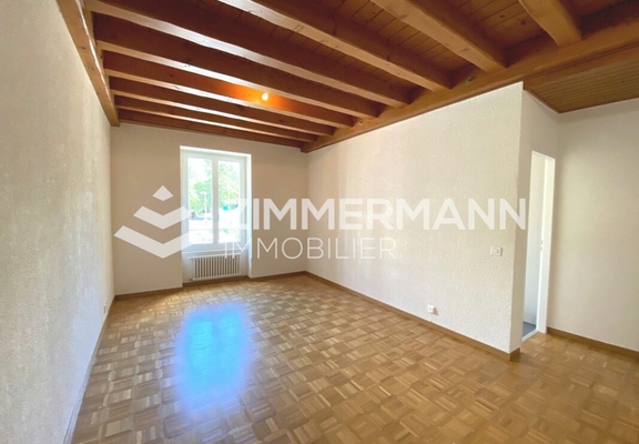 Appartement-Ruelle du Midi - 1207 Genève