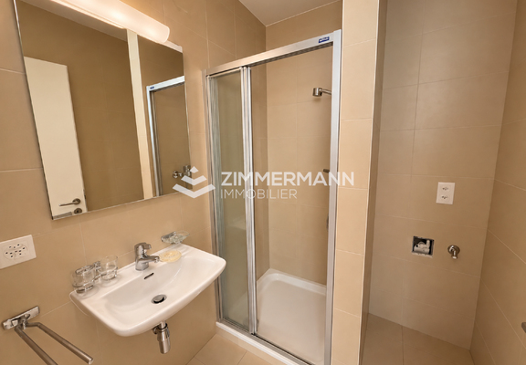 Appartement-Rue Jacques-Grosselin - 1227 Carouge GE