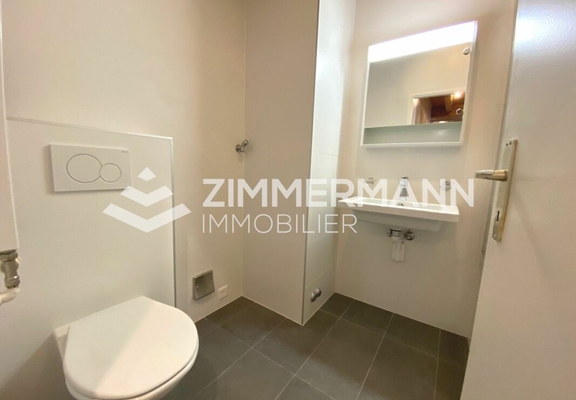 Appartement-Ruelle du Midi - 1207 Genève