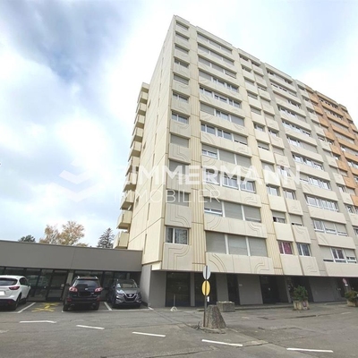 Parking-Rue des Lattes - 1217 Meyrin