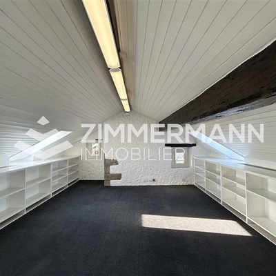 Bureau-Rue Etienne-Dumont - 1204 Genève