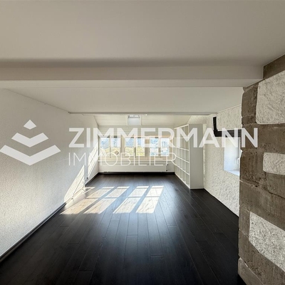 Bureau-Rue Etienne-Dumont - 1204 Genève