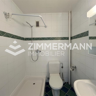 Appartement-Rue Sismondi - 1201 Genève