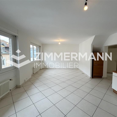 Appartement-Rue Sismondi - 1201 Genève