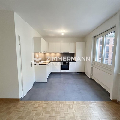 Appartement-Rue du Bois-Melly - 1205 Genève
