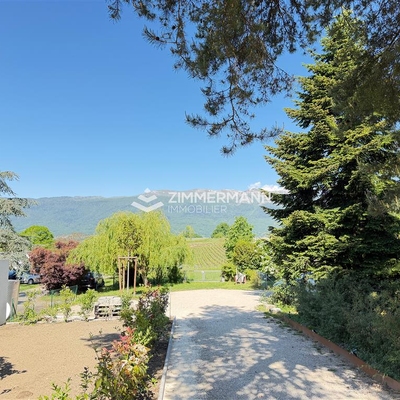 Maison-Route de Peissy - 1242 Satigny