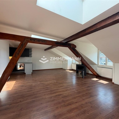 Attique-Boulevard Carl-Vogt - 1205 Genève