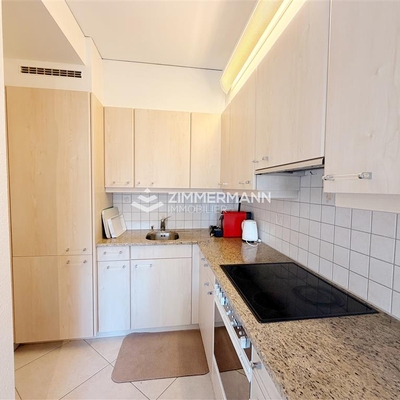 Appartement meublé-Rue Liotard - 1203 Genève