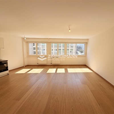 Appartement-Rue du Lac - 1207 Genève