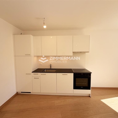 Appartement-Rue du Lac - 1207 Genève