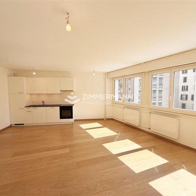 Appartement-Rue du Lac - 1207 Genève