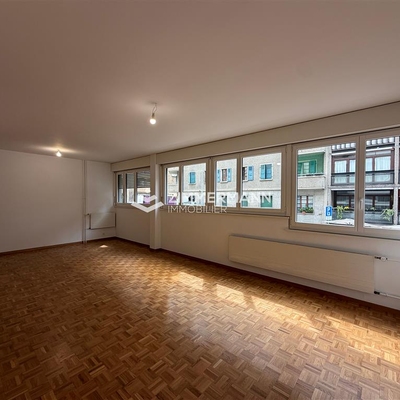 Appartement-Rue du 31 Décembre - 1207 Genève