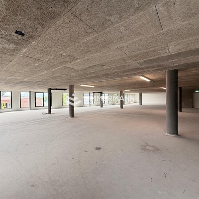Commerce-Rue des Ateliers - 1217 Meyrin