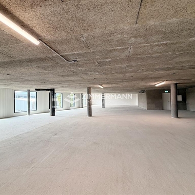 Commerce-Rue des Ateliers - 1217 Meyrin