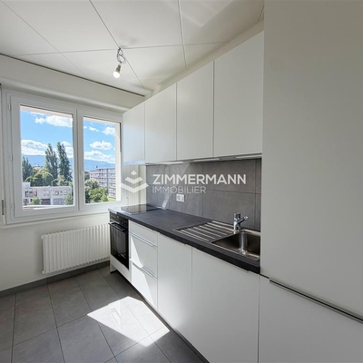 Appartement-Avenue d'Aïre - 1203 Genève