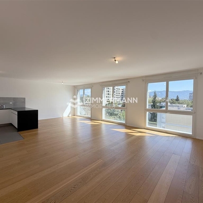 Appartement-Chemin de l'Ecu - 1219 Châtelaine