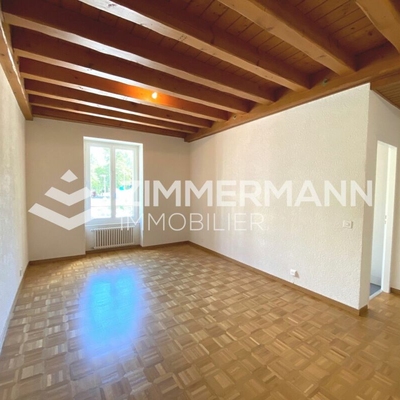 Appartement-Ruelle du Midi - 1207 Genève
