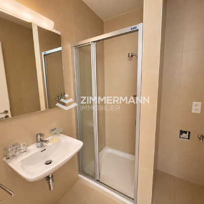 Appartement-Rue Jacques-Grosselin - 1227 Carouge GE