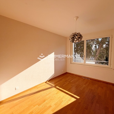 Appartement-Rue Jacques-Grosselin - 1227 Carouge GE