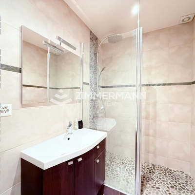 Appartement-Rue de Lausanne - 1202 Genève