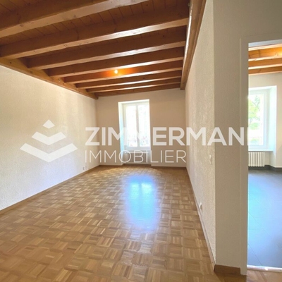 Appartement-Ruelle du Midi - 1207 Genève