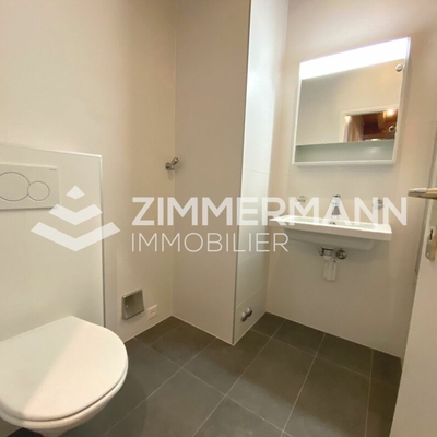 Appartement-Ruelle du Midi - 1207 Genève